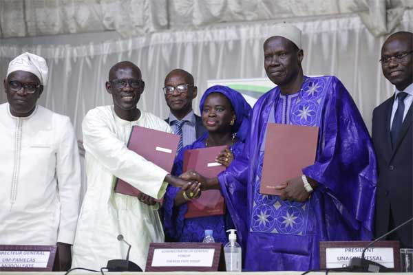 Financement de l’Unacois Yessal par le Pamecas : Le Fongip dégage 20 milliards